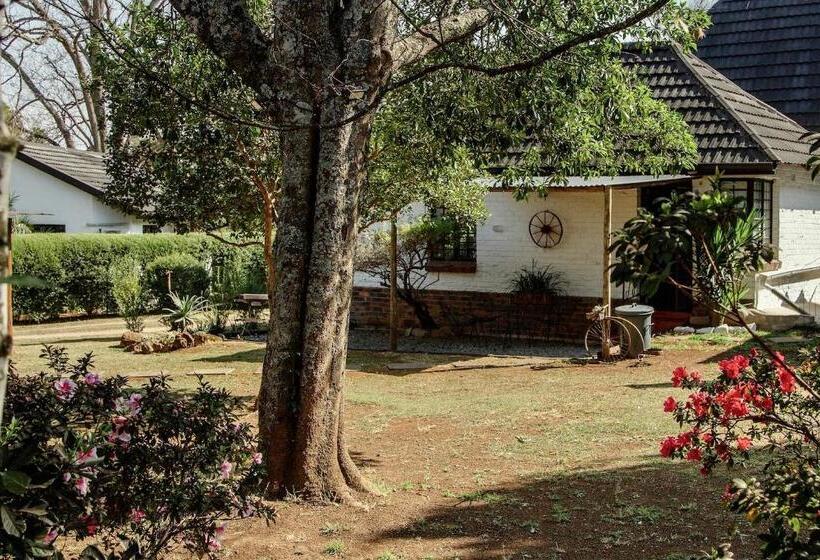 The Green Lantern   Howick