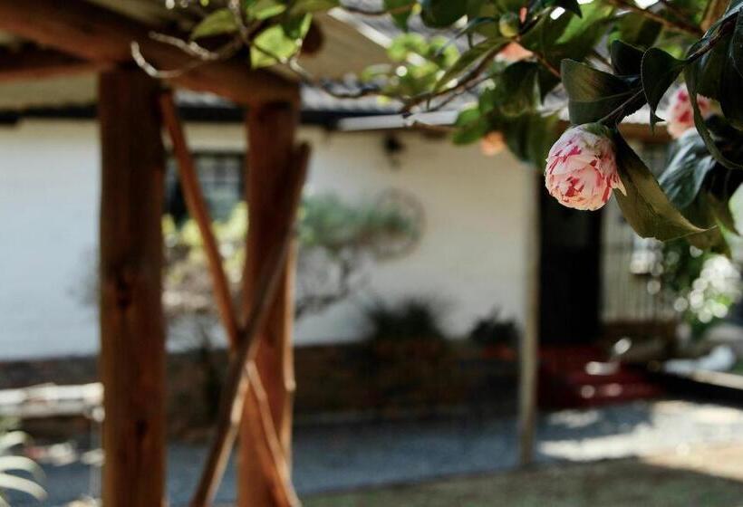 The Green Lantern   Howick