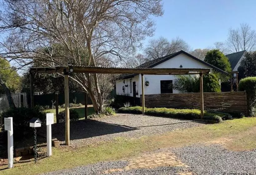 The Green Lantern   Howick