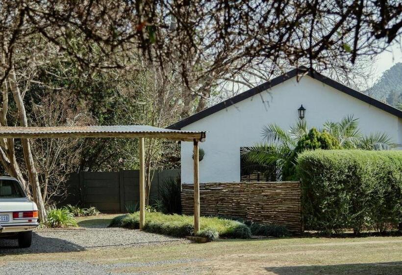 The Green Lantern   Howick