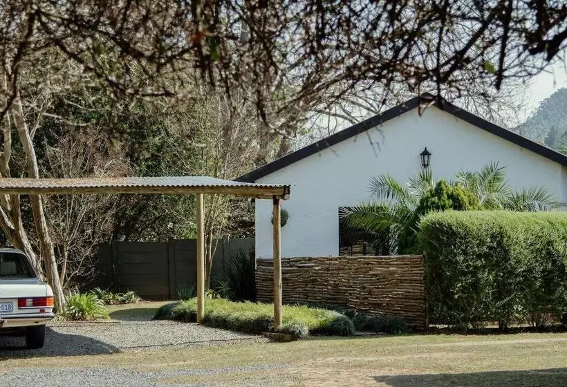 The Green Lantern   Howick