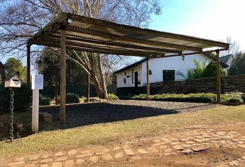 The Green Lantern   Howick