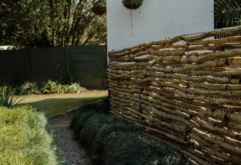 The Green Lantern   Howick