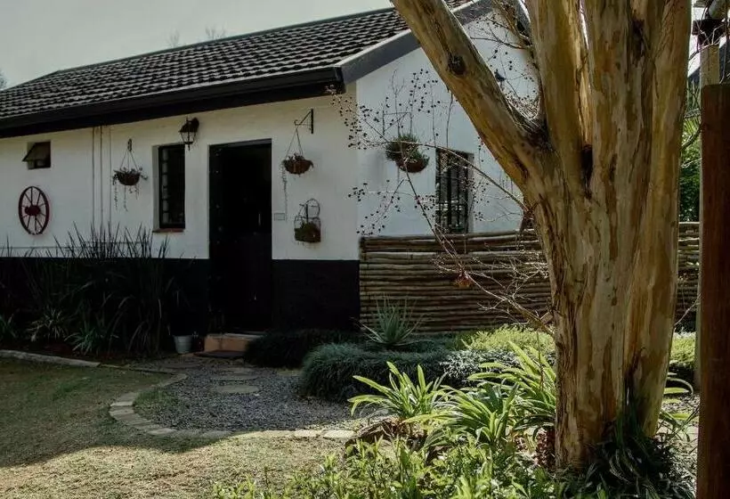 The Green Lantern   Howick