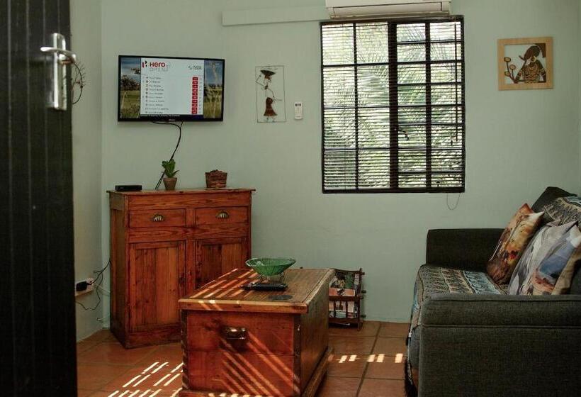 The Green Lantern   Howick