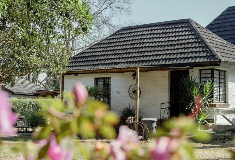 The Green Lantern   Howick