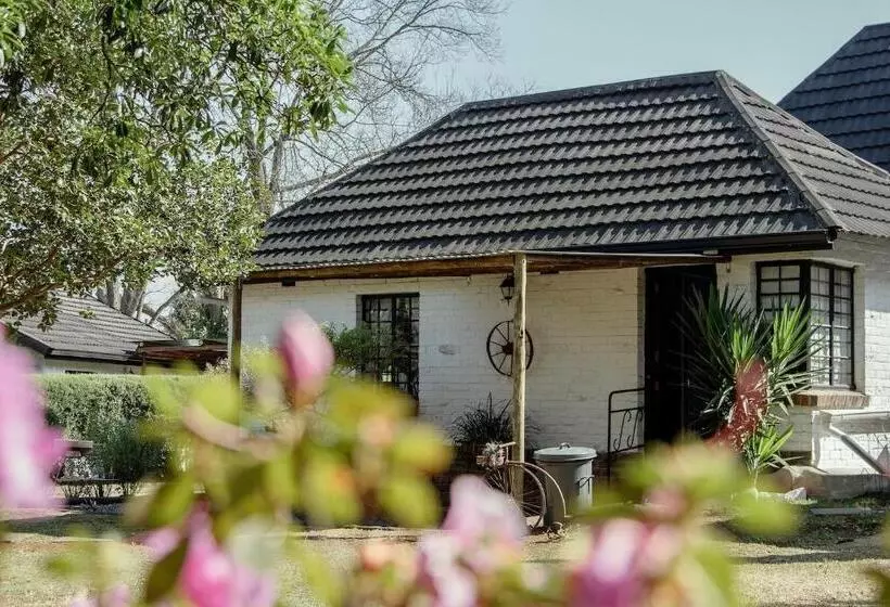 The Green Lantern   Howick