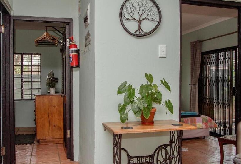 The Green Lantern   Howick