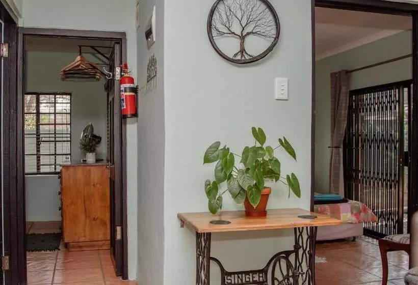 The Green Lantern   Howick