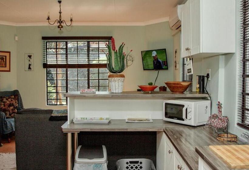 The Green Lantern   Howick