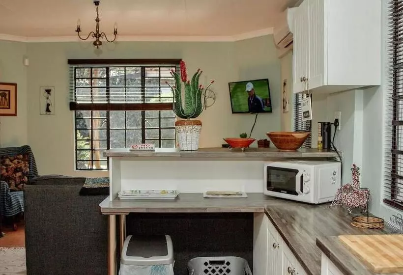 The Green Lantern   Howick