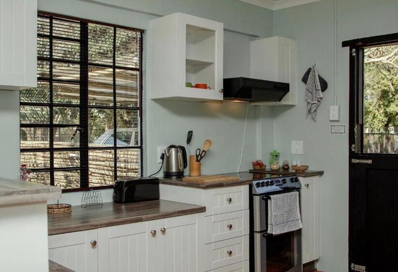 The Green Lantern   Howick