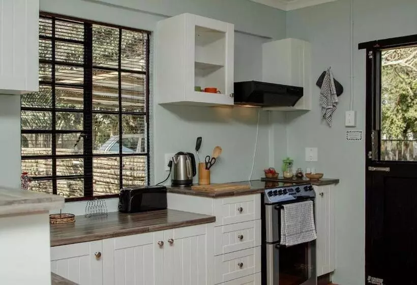 The Green Lantern   Howick