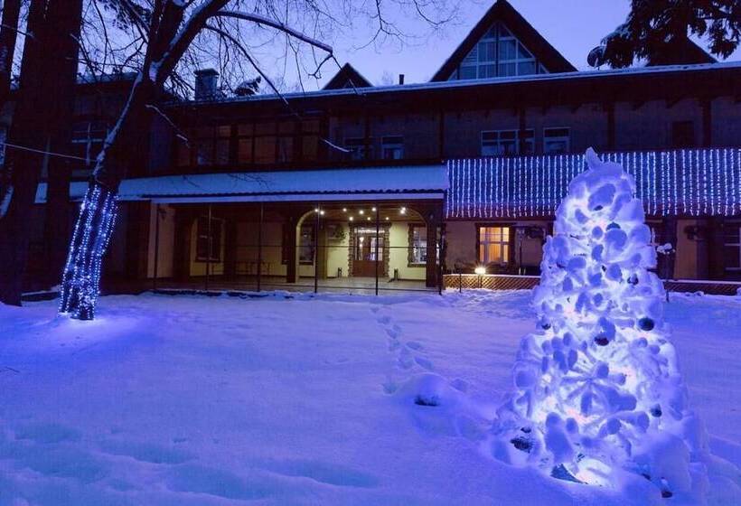 Art Hotel Pushkino