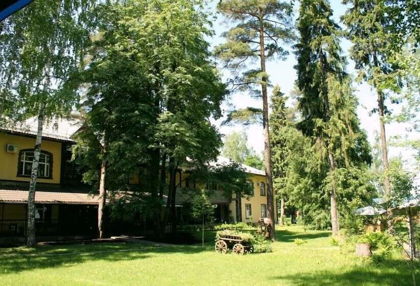 Art Hotel Pushkino