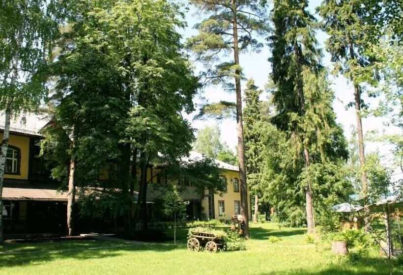 Art Hotel Pushkino