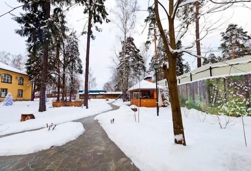 Art Hotel Pushkino