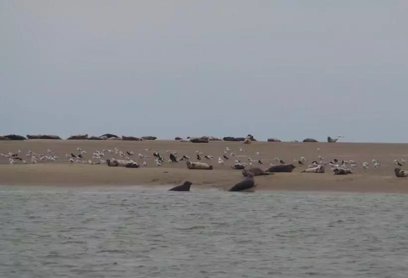 Aamiaismajoitus (B&B) Au Cap Norwoe