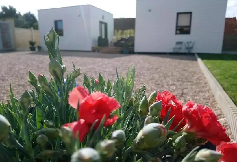 Aamiaismajoitus (B&B) Au Cap Norwoe