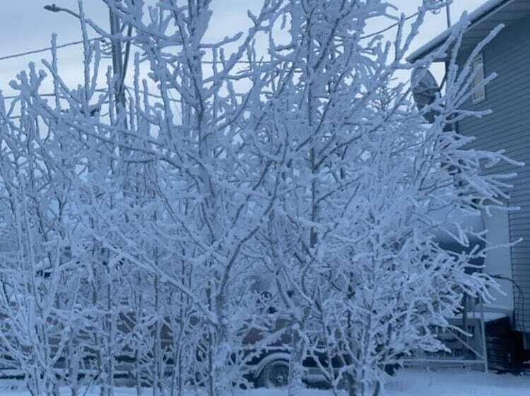 צימר Igloo Of Enlightenment