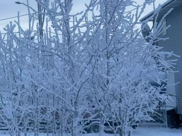 Aamiaismajoitus (B&B) Igloo Of Enlightenment