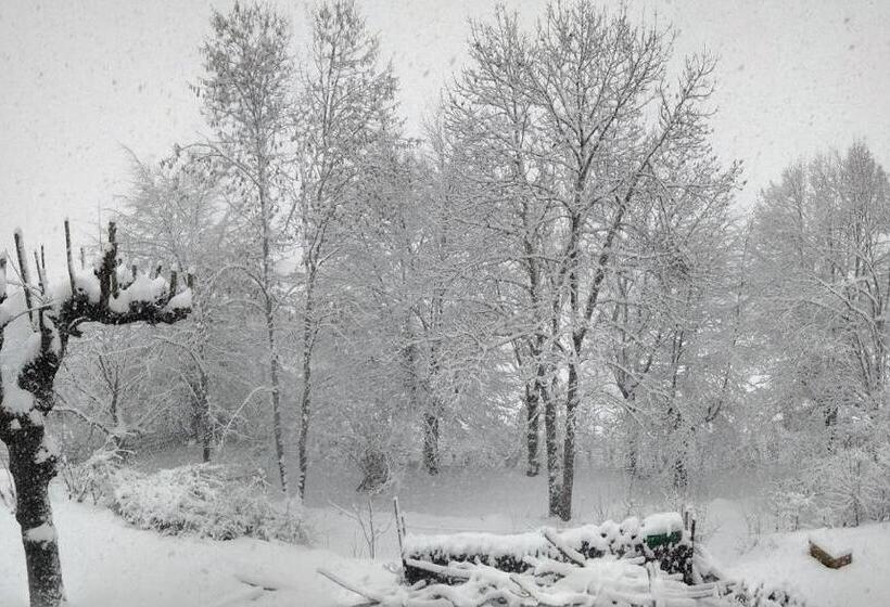 مبيت وإفطار La Cabanette