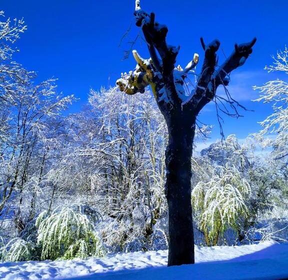 مبيت وإفطار La Cabanette