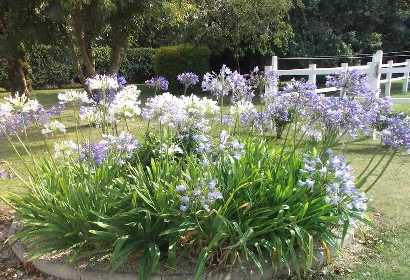 ベッドアンドブレックファースト La Vieux Ville