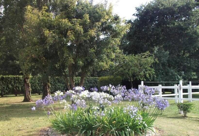 مبيت وإفطار La Vieux Ville