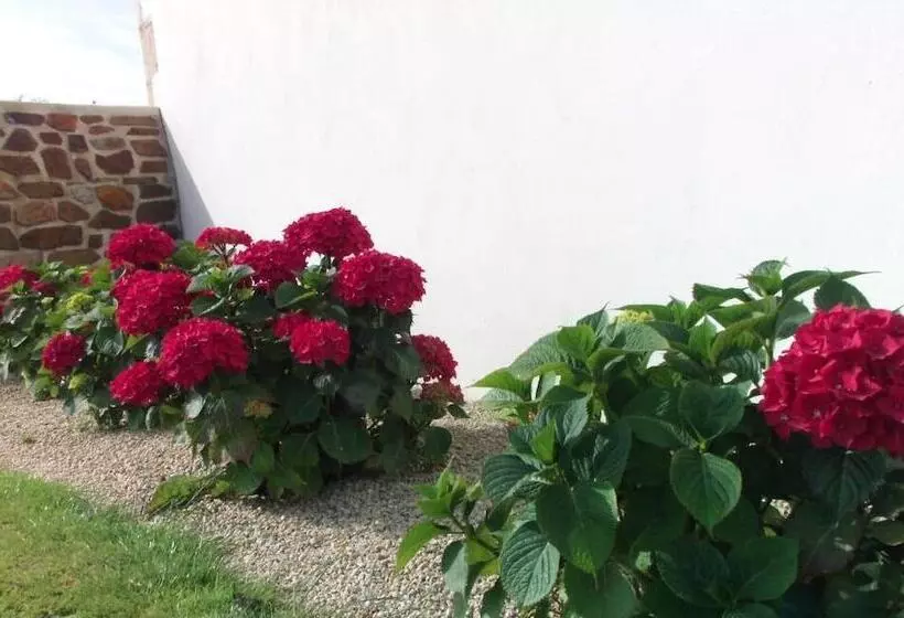 ベッドアンドブレックファースト La Vieux Ville