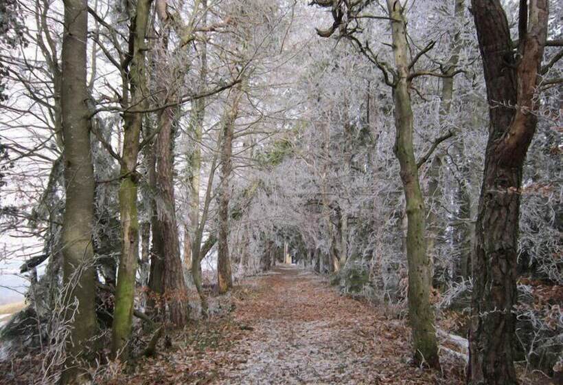مبيت وإفطار Le Château De Bardonenche
