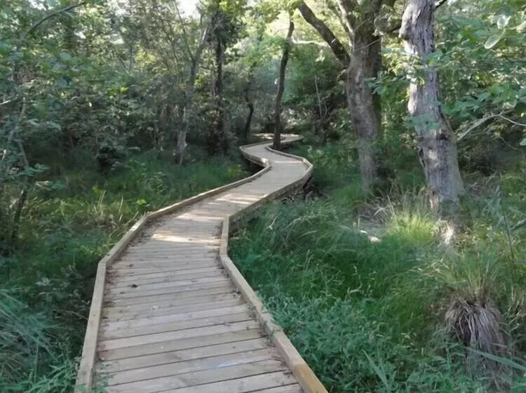 Hotelli Hôtel Du Lac