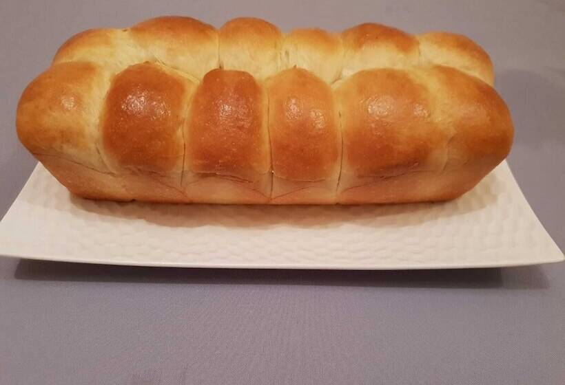 膳宿费 L'arbre D'alaïs