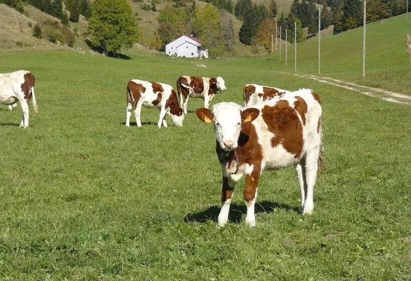 Majatalo Le Bellevue