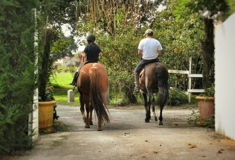 膳宿费 Relais De Chasse La Chaignaie