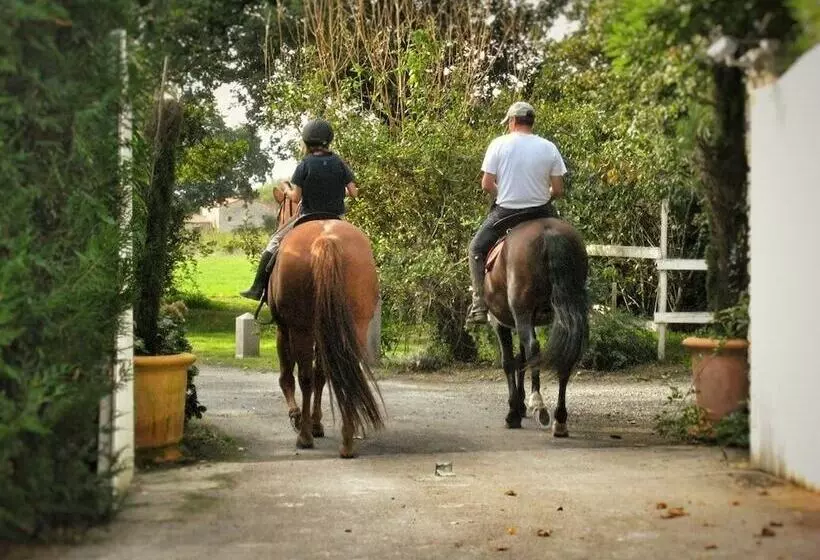 Majatalo Relais De Chasse La Chaignaie