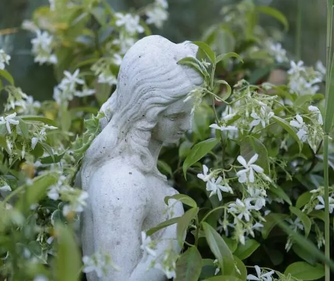 Majatalo Relais De Chasse La Chaignaie