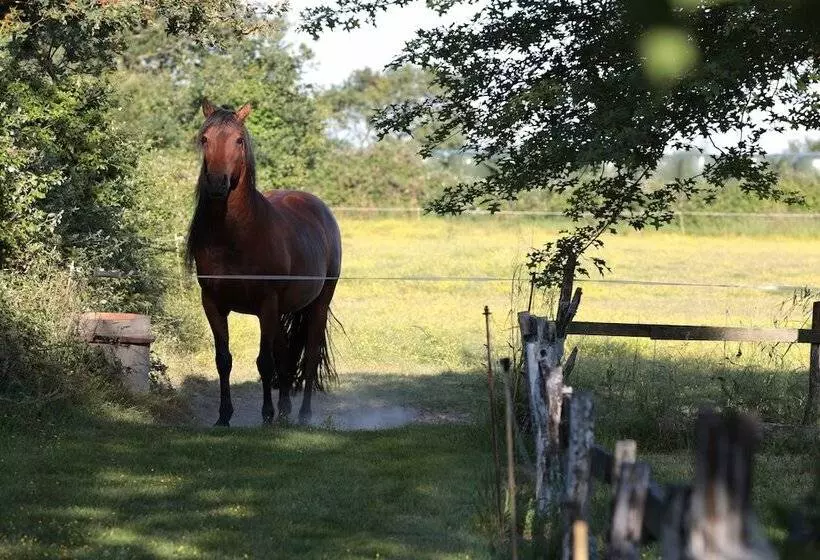 Majatalo Relais De Chasse La Chaignaie