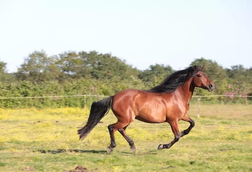Majatalo Relais De Chasse La Chaignaie