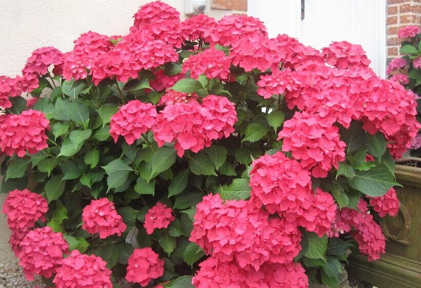 膳宿费 Relais De Chasse La Chaignaie