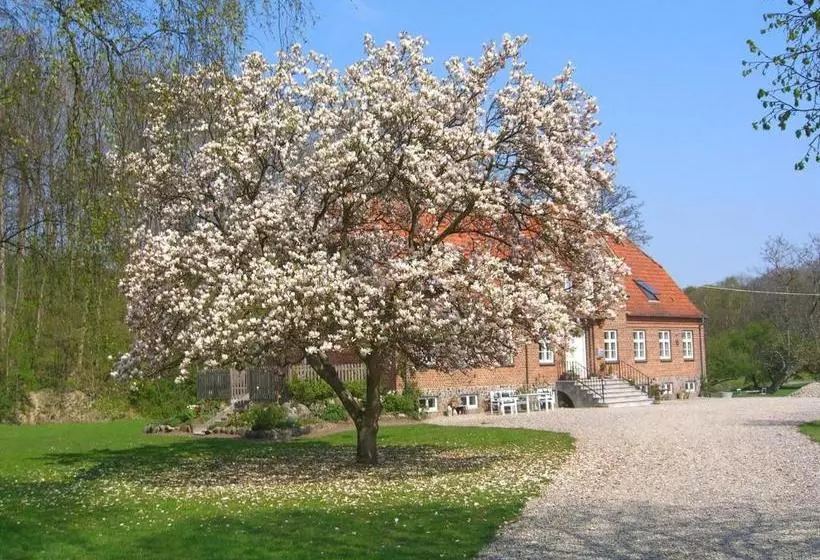 تختخواب و صبحانه æblegården