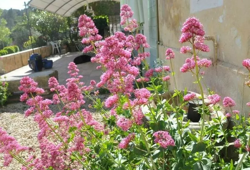 ベッドアンドブレックファースト Le Mas De La Lause