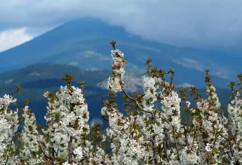 ベッドアンドブレックファースト Le Mas De La Lause