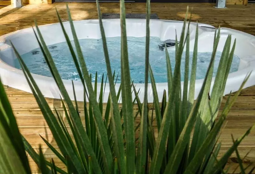 ベッドアンドブレックファースト L'haute En Couleur