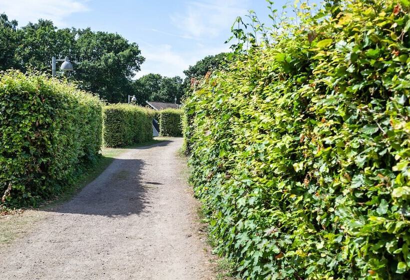 בית מלון כפרי First Camp Mölle