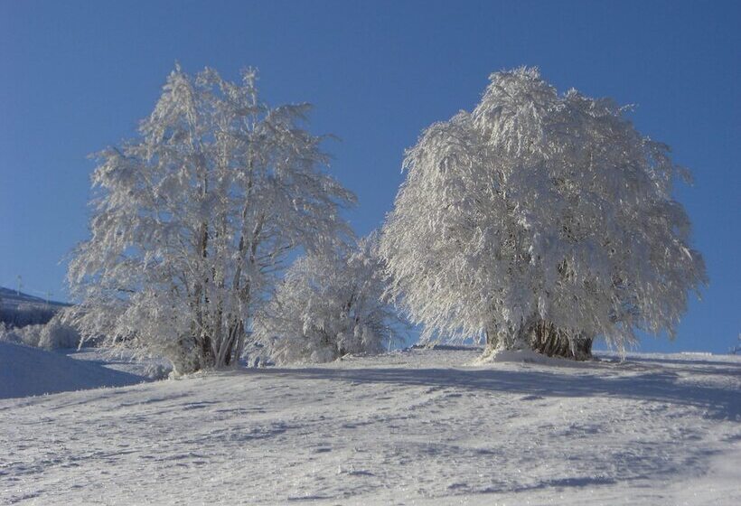 호텔 Hôtel Du Vercors