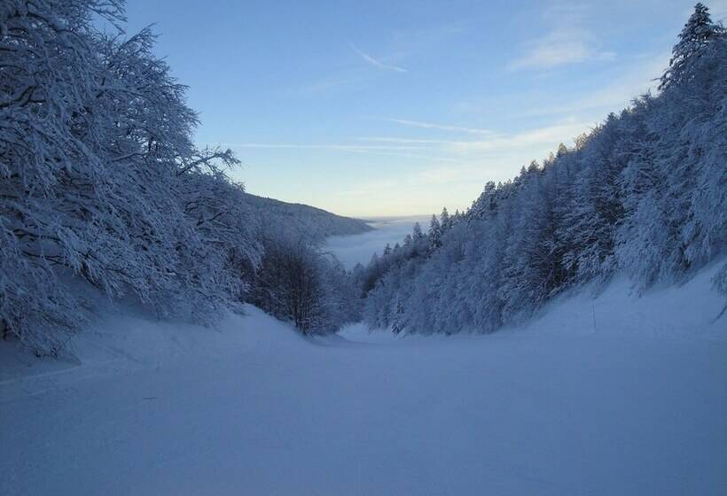호텔 Hôtel Du Vercors