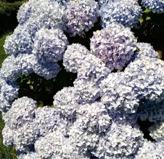 ホテル Rural La Casa Nueva