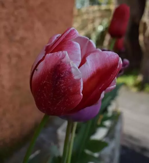 ホテル Rural La Casa Nueva