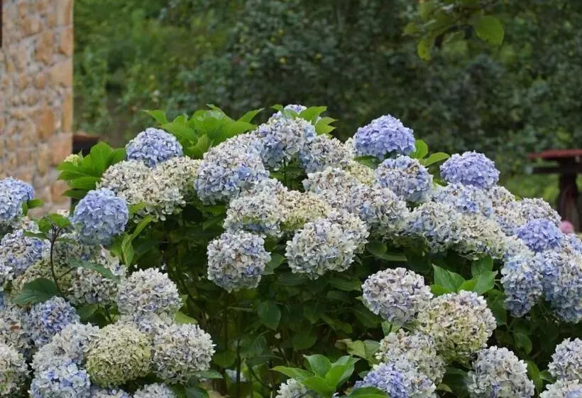 ホテル Rural La Casa Nueva